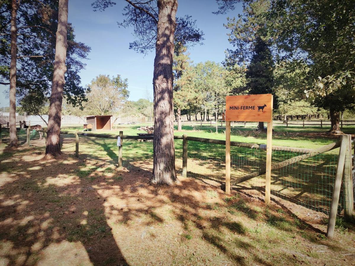 Bungalow Cosy Equipe La Boissiere-de-Montaigu Экстерьер фото